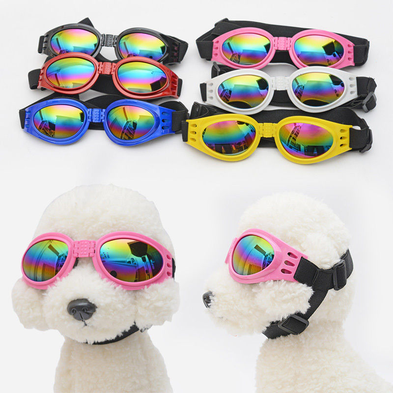 Foldable Dog Glasses