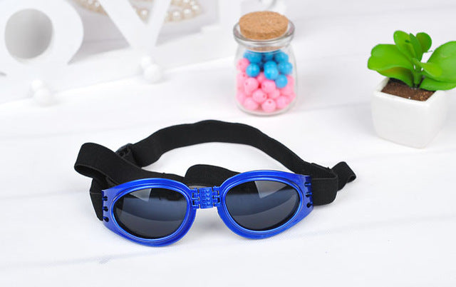 Foldable Dog Glasses