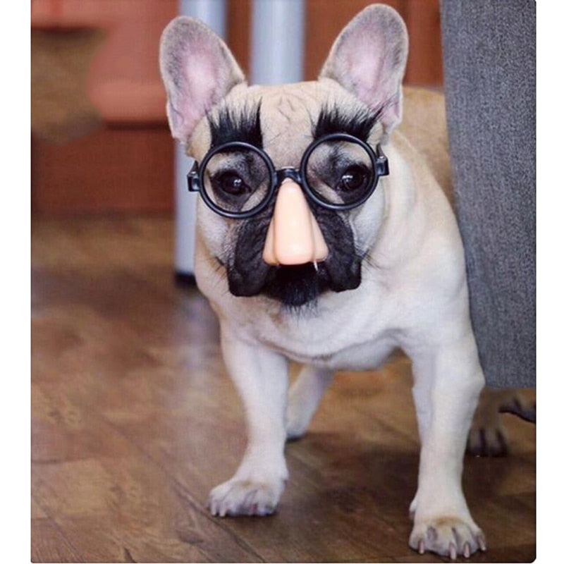 Cute Funny Dog Pet Glasses