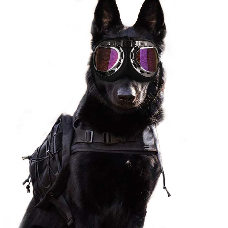 Large Dog Sunglasses