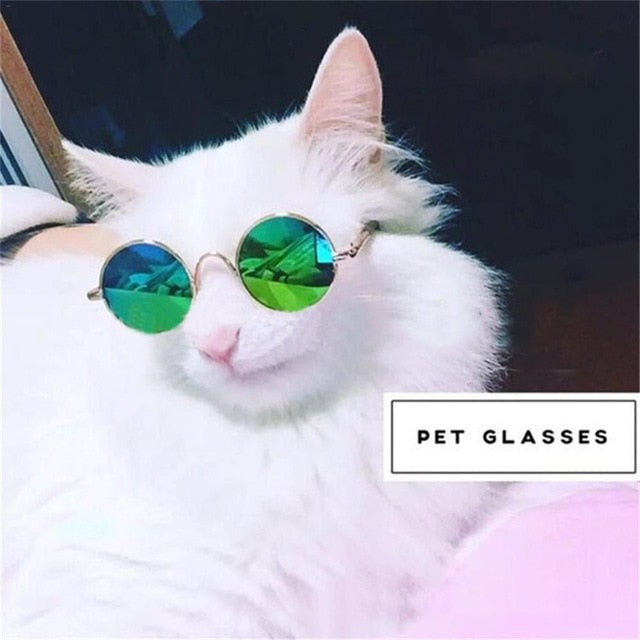 Cats Eye-Protection Glasses