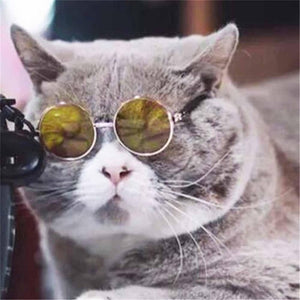 Cats Eye-Protection Glasses