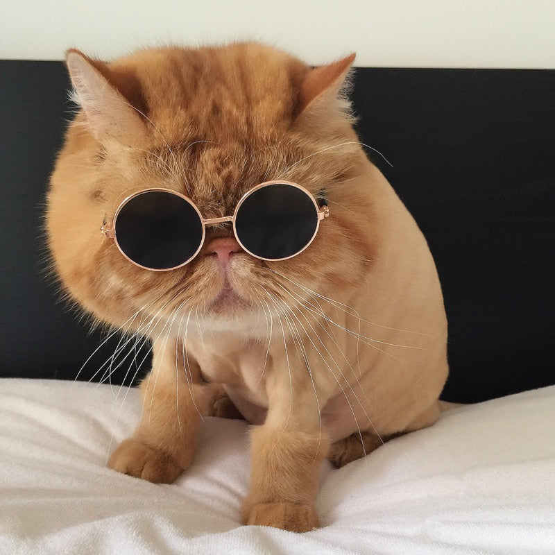 John Lennon Polarized Hippie SunGlasses