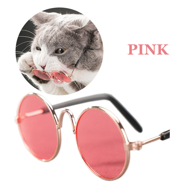 Funny Eye-wear Cat Glasses