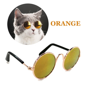 Funny Eye-wear Cat Glasses