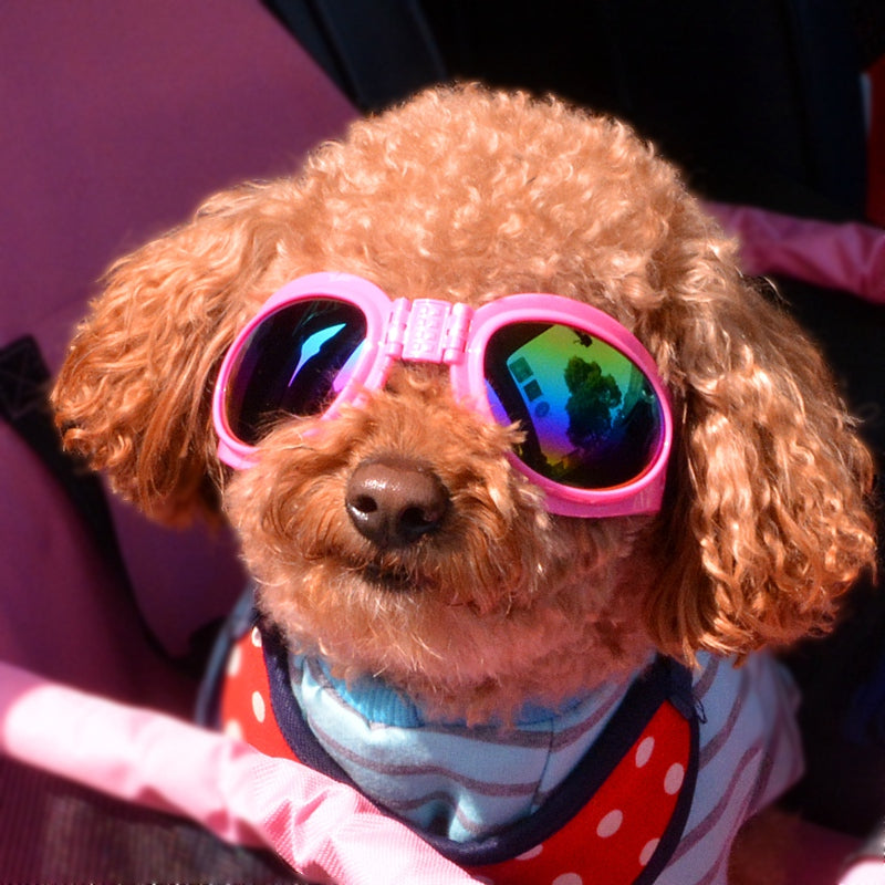 Dog Grooming Glasses Anti-sun Fashion Cool Sunglass