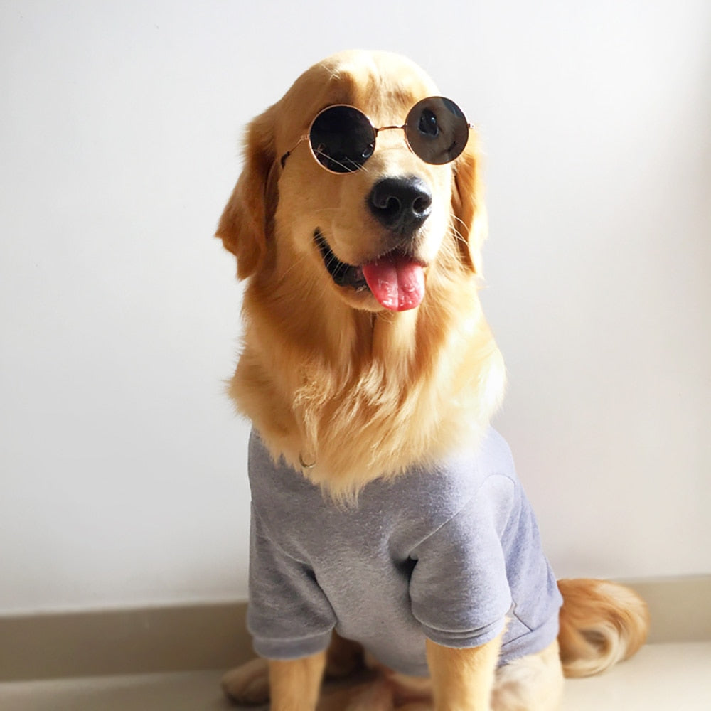 Fashion Dog Glasses