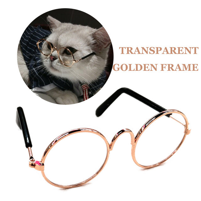 Fashion Cat Transparent Glasses