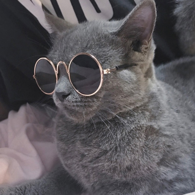 Pet Glasses Costume